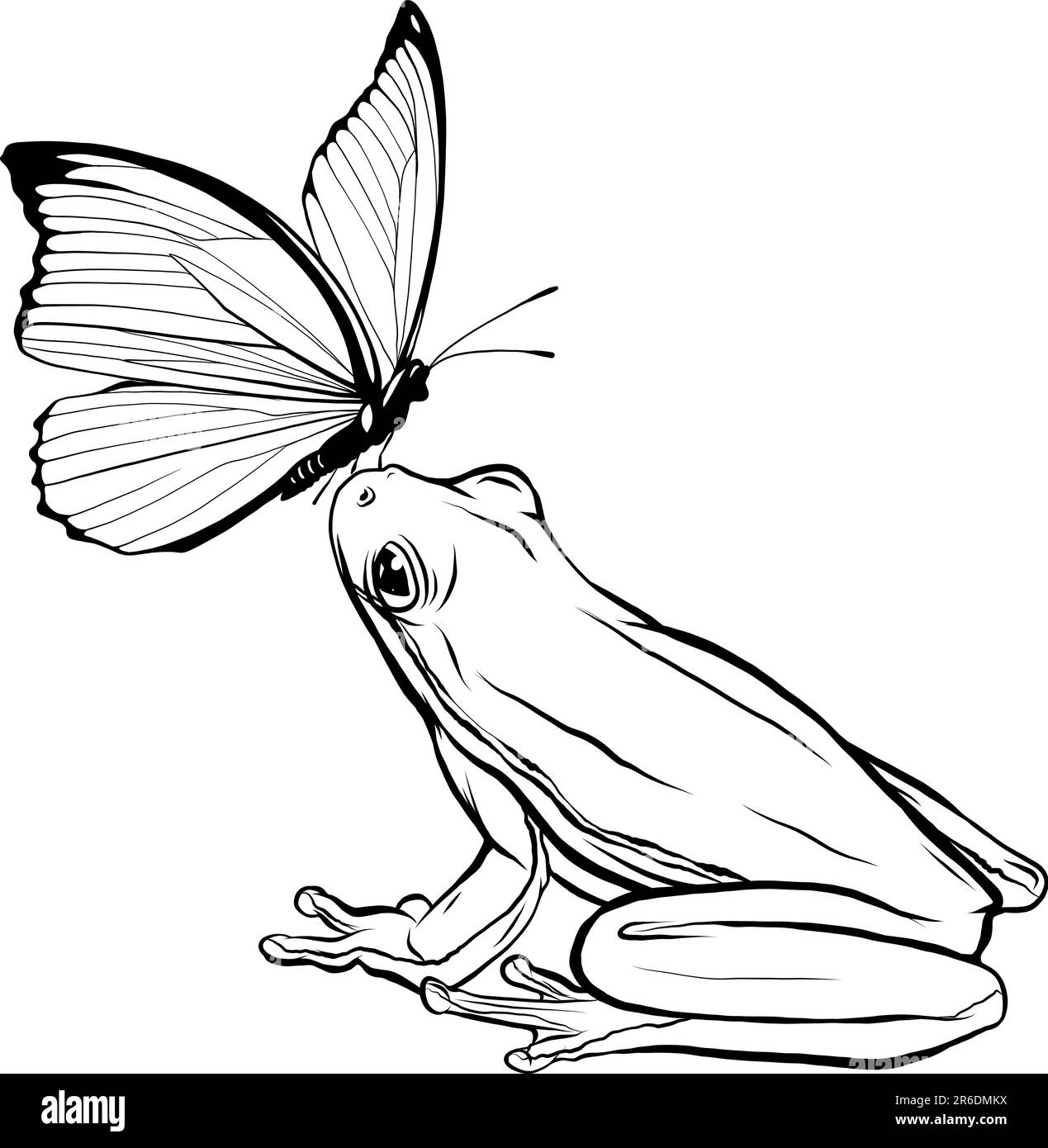 Carino divertente rana caccia farfalla. Affamato rospo guardare per volare insetto. Illustrazione Vettoriale