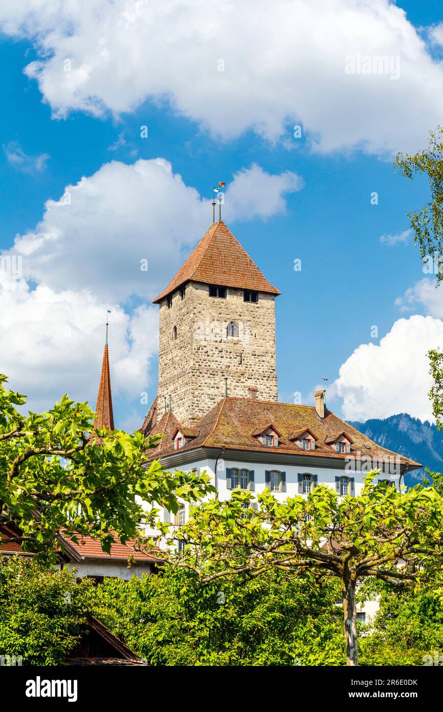 Vista del Castello di Spiez a Spiez, Svizzera Foto Stock