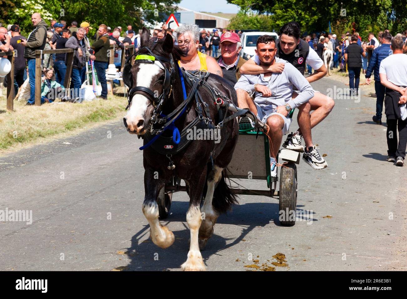 La storica Appleby Horse Fair, Appleby-in-Westmorland, Cumbria, Inghilterra, Regno Unito Foto Stock