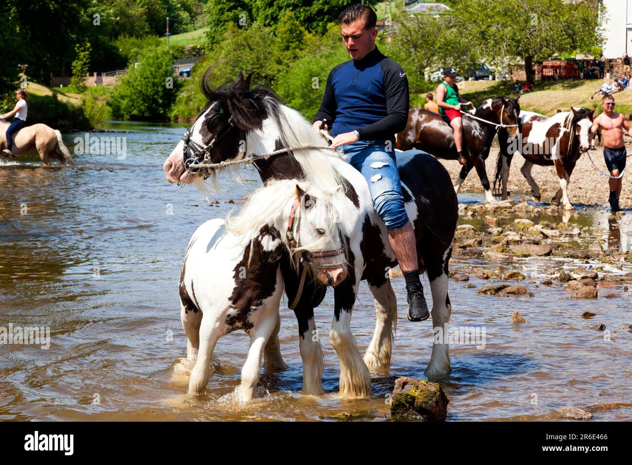 Uno zingaro che nuota il suo cavallo e il suo nemico alla fiera storica del cavallo di Appleby, Appleby-in-Westmorland, Cumbria, Inghilterra, Regno Unito Foto Stock