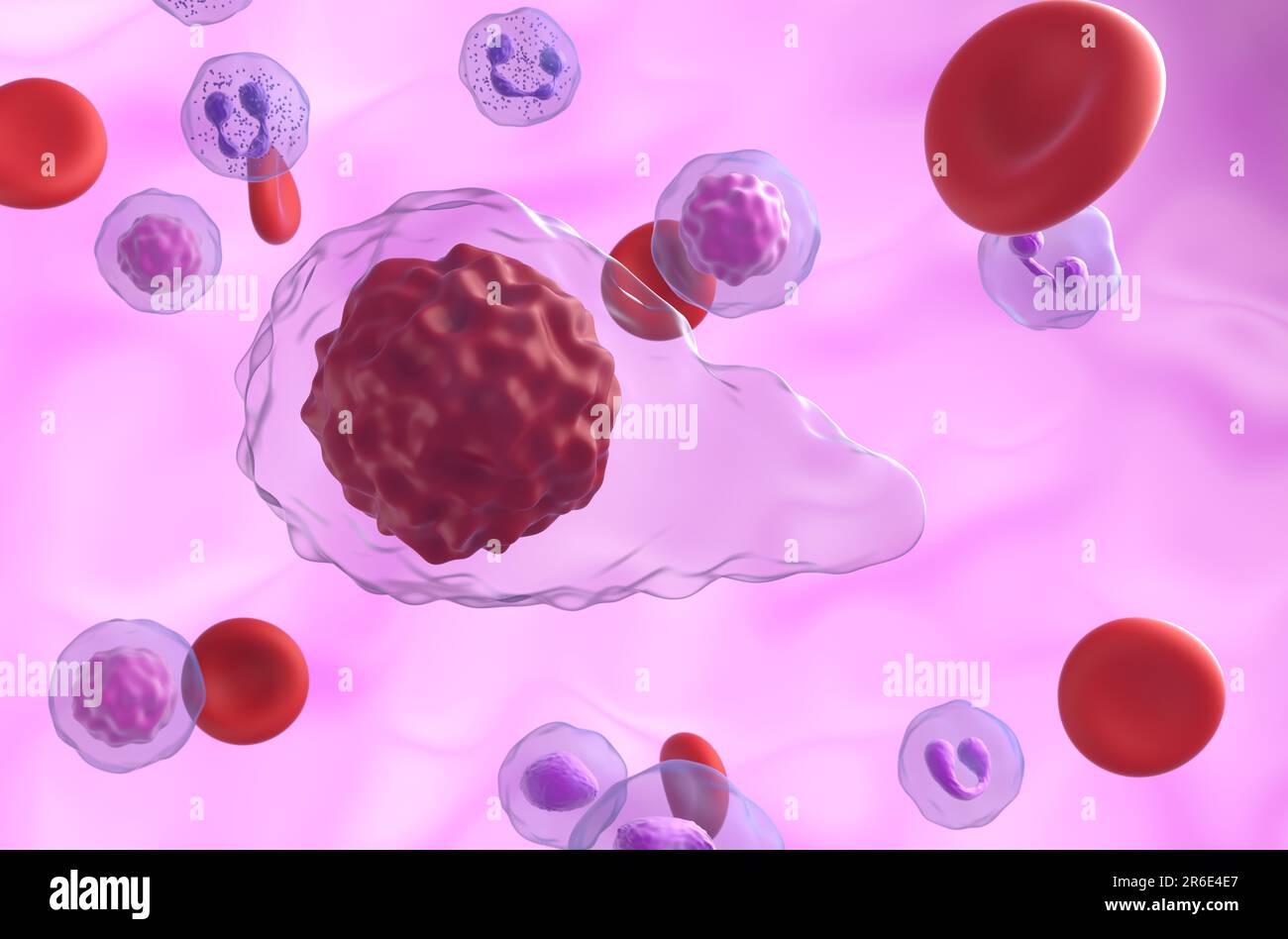 Cellule di mielofibrosi primaria (PMF) nel flusso sanguigno - Vista closeup 3D illustrazione Foto Stock