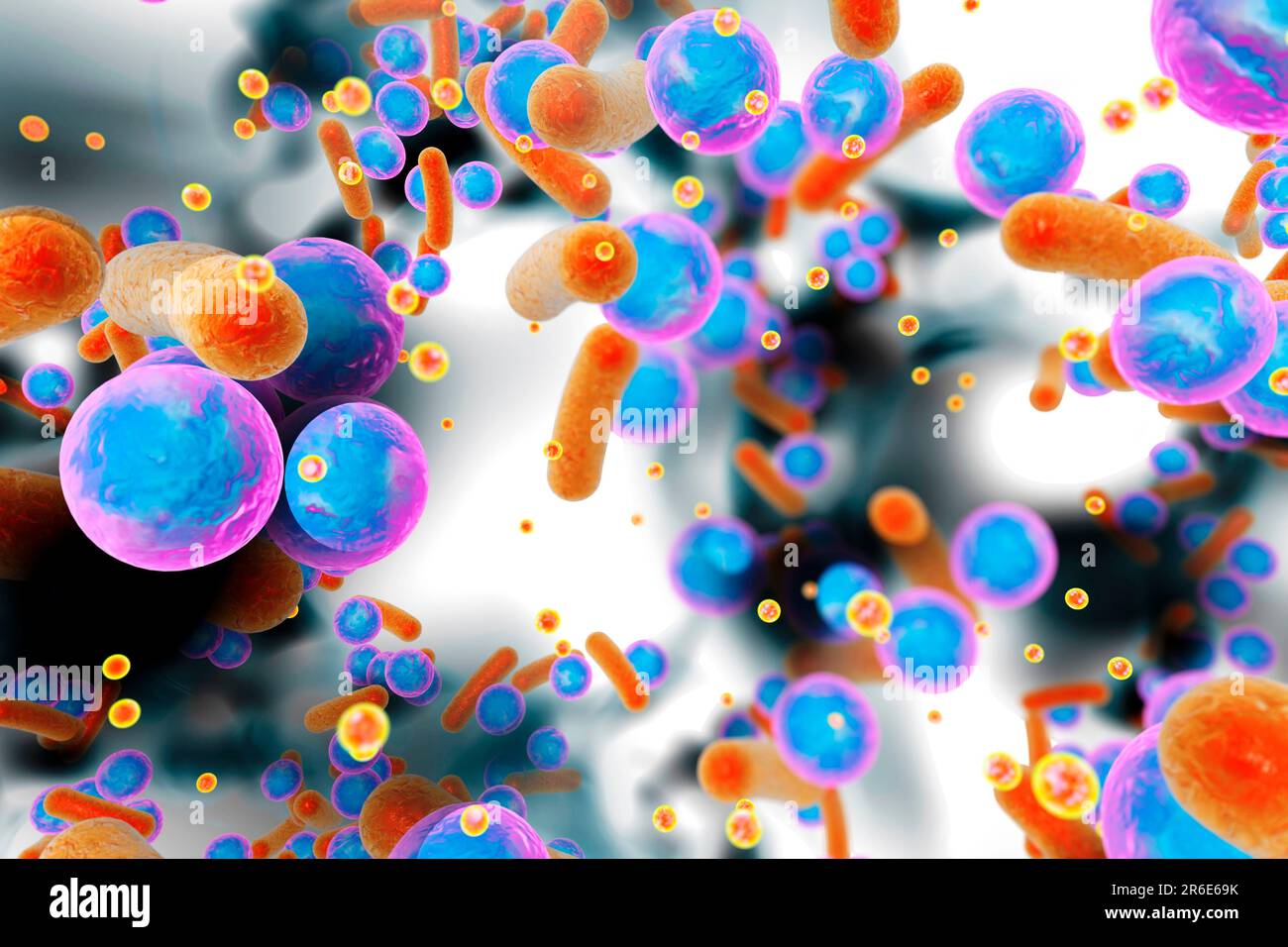 Batteri sferici e batteri a forma di asta all'interno di biofilm con molecole di rilevamento del quorum (piccoli cerchi rossi), illustrazione. Un biofilm è una colonia di ba Foto Stock