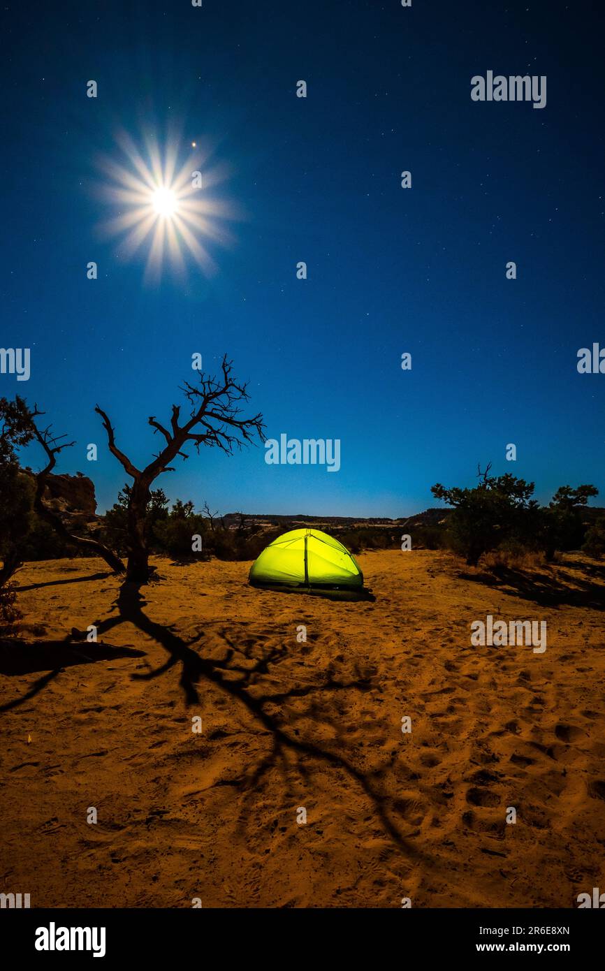 Full Moon Camping nel deserto dello Utah Foto Stock