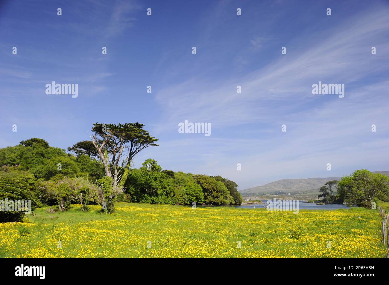 Dunboy Quay Jetty, Dunboy Castle, County Cork, Irlanda Foto Stock