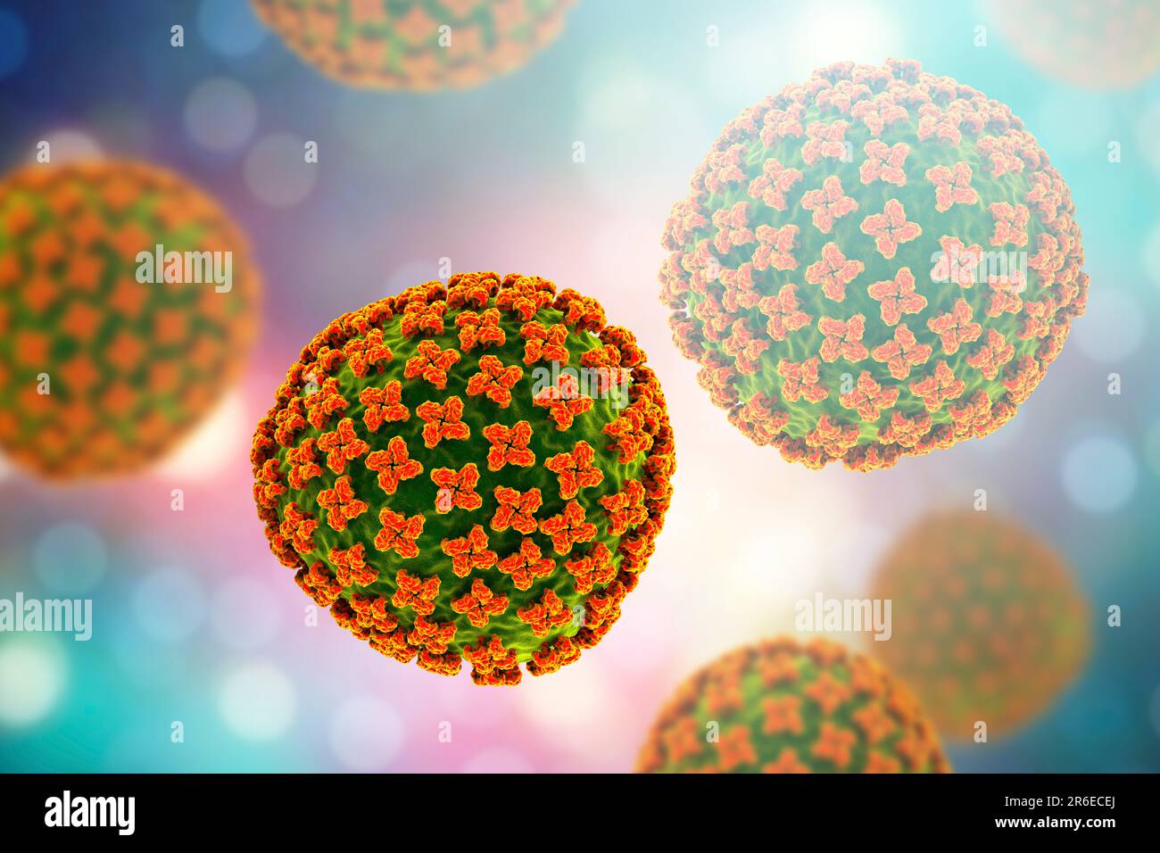 Particelle di hantavirus, illustrazione al computer. Molti hantaviruses causano la malattia negli esseri umani. Possono essere fatali se progredisono verso il pul dell'antavirus Foto Stock