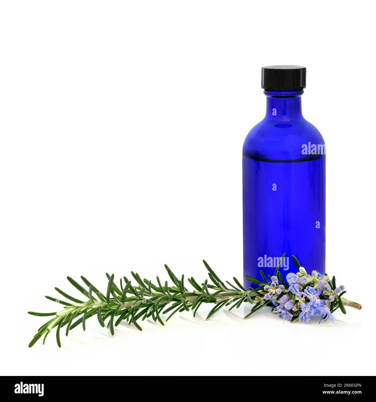 Rosemary erbe medicinale vegetale e condimento alimentare con aromatherapy bottiglia di olio essenziale. Aumenta il sistema immunitario, migliora la circolazione sanguigna. Foto Stock