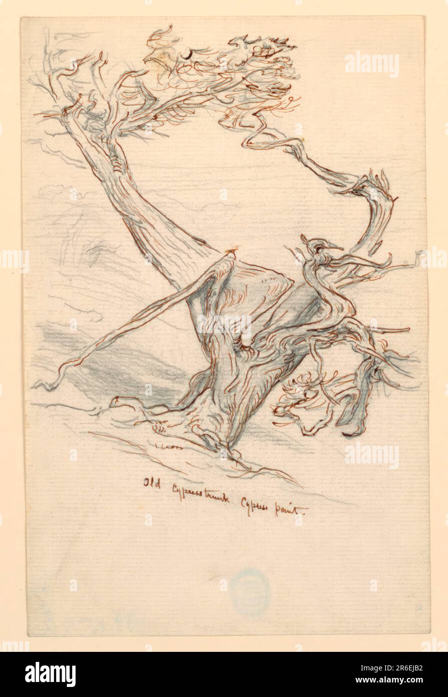 Un vecchio albero è mostrato in piedi su una collina, con un legno sullo sfondo. Inscritto sotto nell'inchiostro: "Vecchio tronco di cipresso, punto di cipresso". Margine inferiore alto. Data: 11 aprile 1898. Grafite, penna e inchiostro marrone su carta. Museo: Cooper Hewitt, Smithsonian Design Museum. Foto Stock