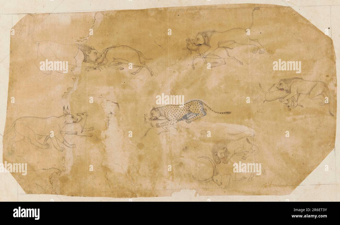 Sei gruppi di animali da combattimento. inchiostro sulla carta. Data: 18th ° secolo. Origine: India. Periodo: Dinastia Mughal. Museo: Freer Gallery of Art e Arthur M. Sackler Gallery. Foto Stock