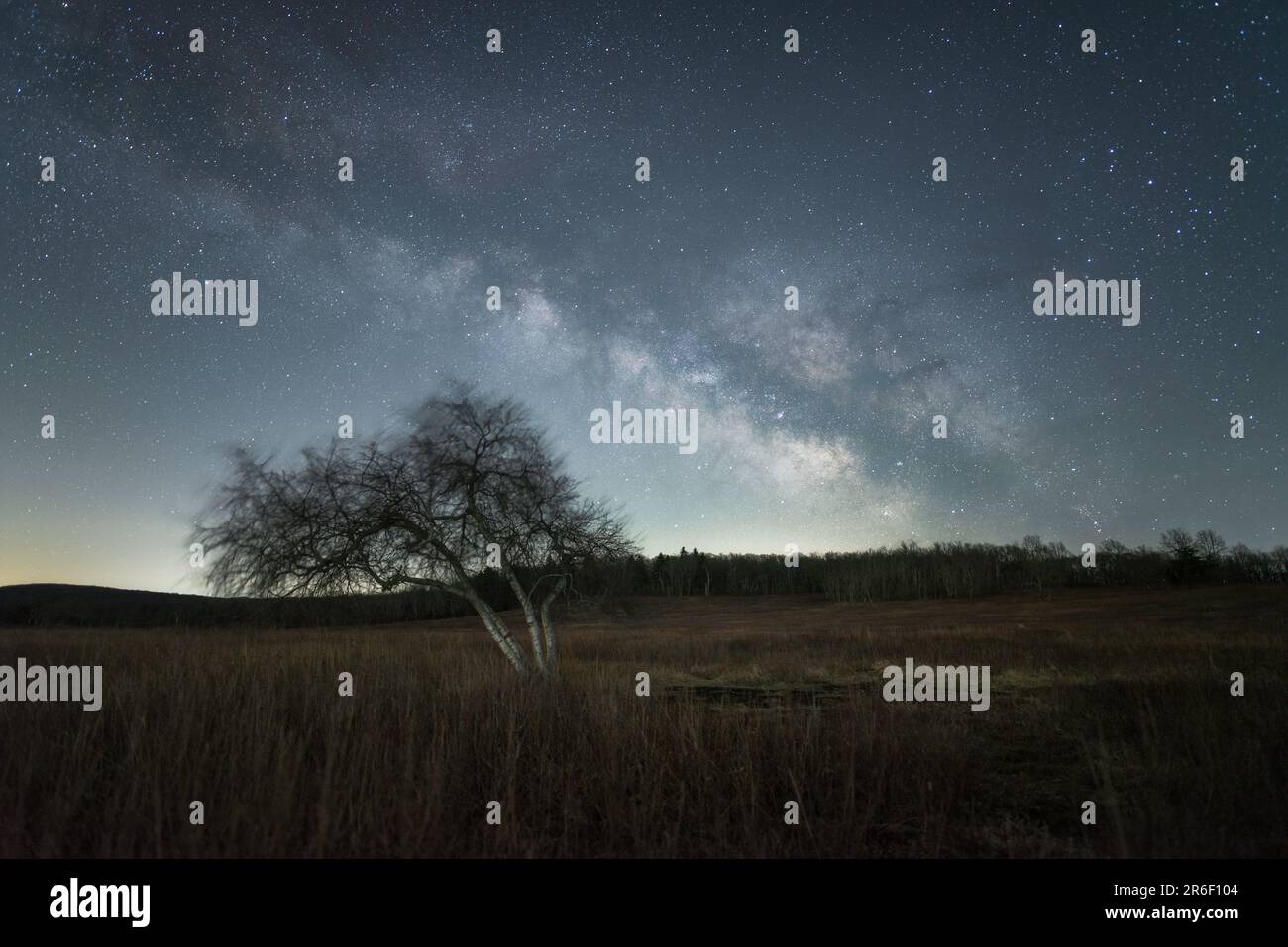 La Via Lattea che si innalza su Big Meadows in una mattinata primaverile al Big Meadows nel Parco Nazionale di Shenandoah, Virginia. Foto Stock
