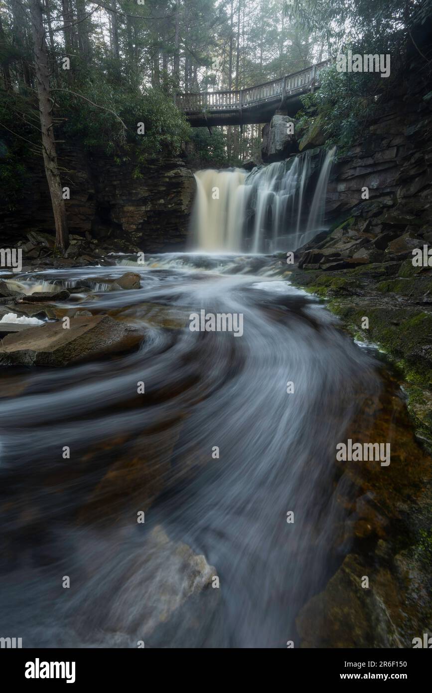 Le acque schiumose si allontanano dalle cascate di Elakala nella Virginia Occidentale. Foto Stock