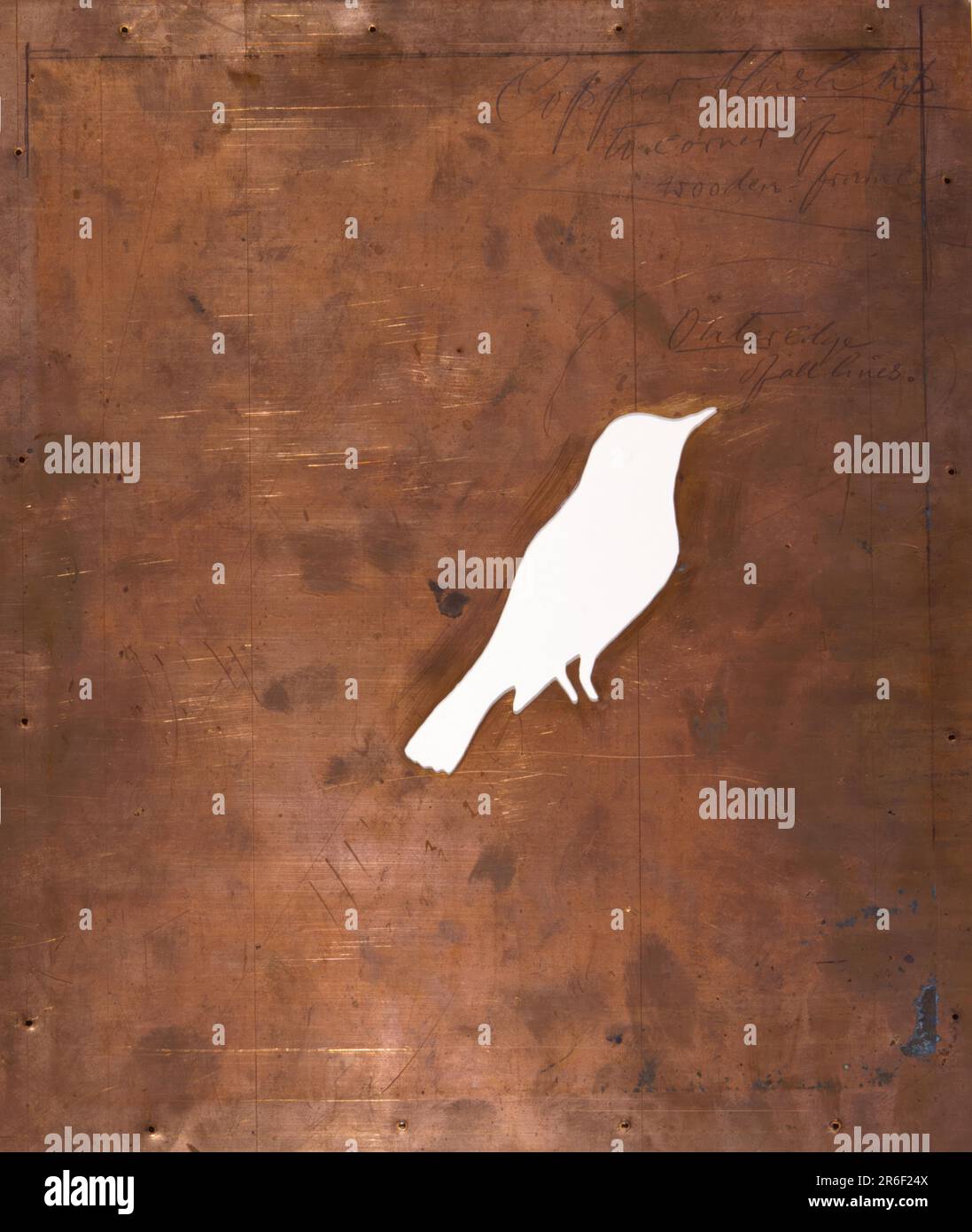 Warblers con cappuccio, studio per libro che nasconde la colorazione nel Regno animale. acquerello su carta, stencil, ed olio su legno. Data: CA. 1900-1909. Museo: Smithsonian American Art Museum. Foto Stock Warblers con cappuccio, studio per libro che nasconde la colorazione nel Regno animale. acquerello su carta, stencil, ed olio su legno. Data: CA. 1900-1909. Museo: Smithsonian American Art Museum. Foto Stock