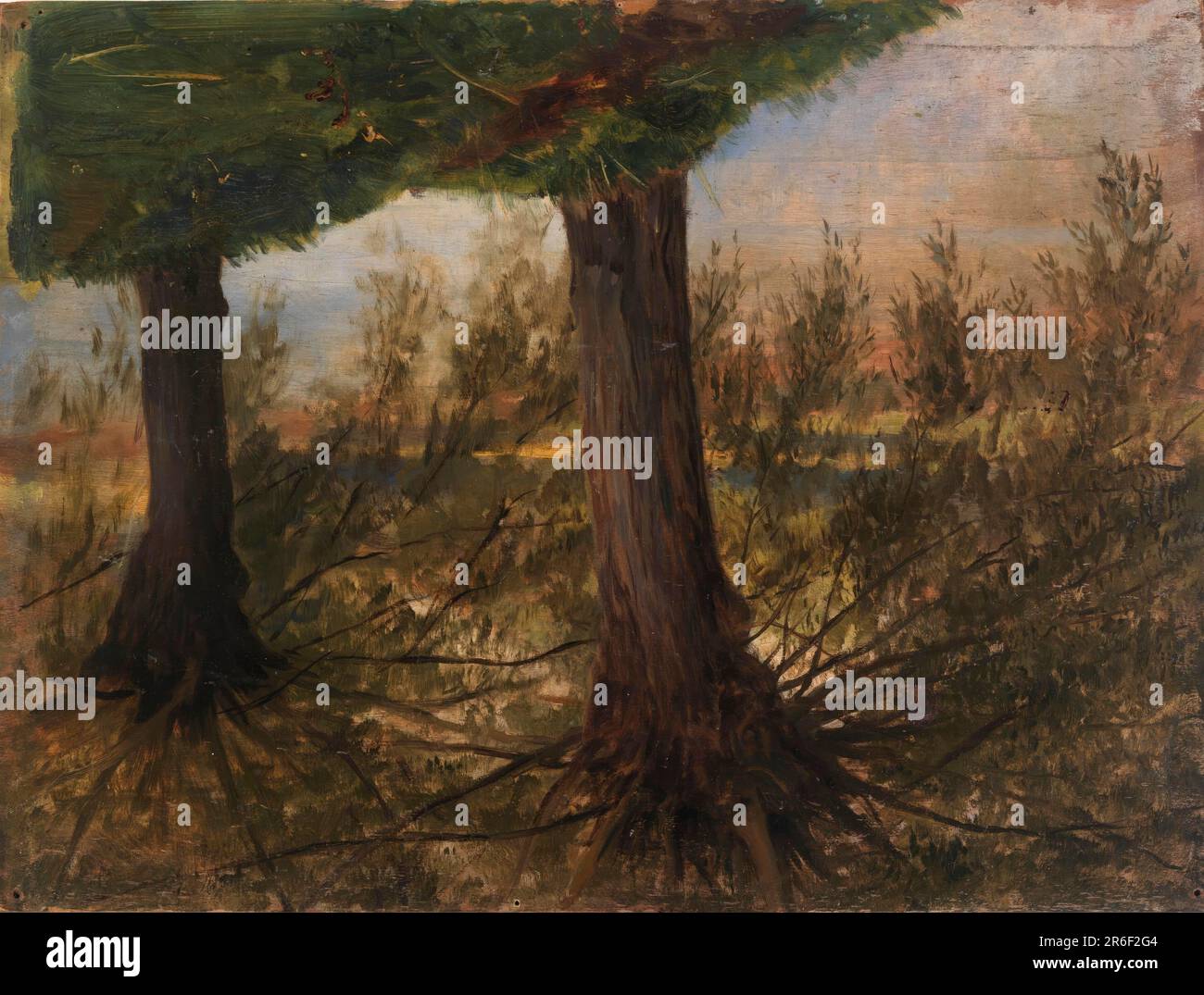 Alberi accanto a un torrente. Data: N.d. olio su tela. Museo: Smithsonian American Art Museum. Foto Stock