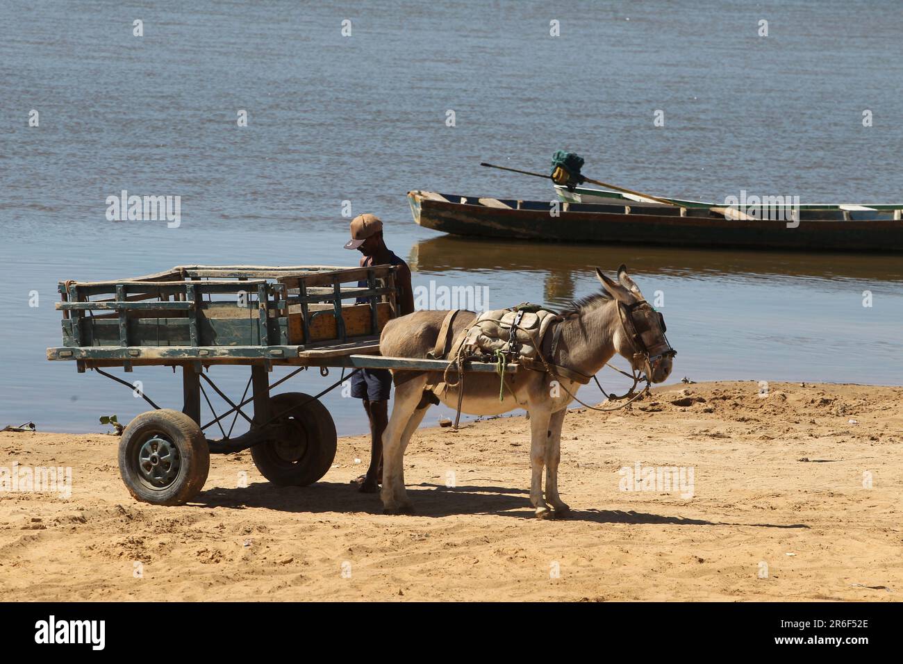 sitio do mato, bahia, brasile - 2 giugno 2023: Vagone trainato da animali è visto lungo la riva di un fiume nella Bahia occidentale. Foto Stock