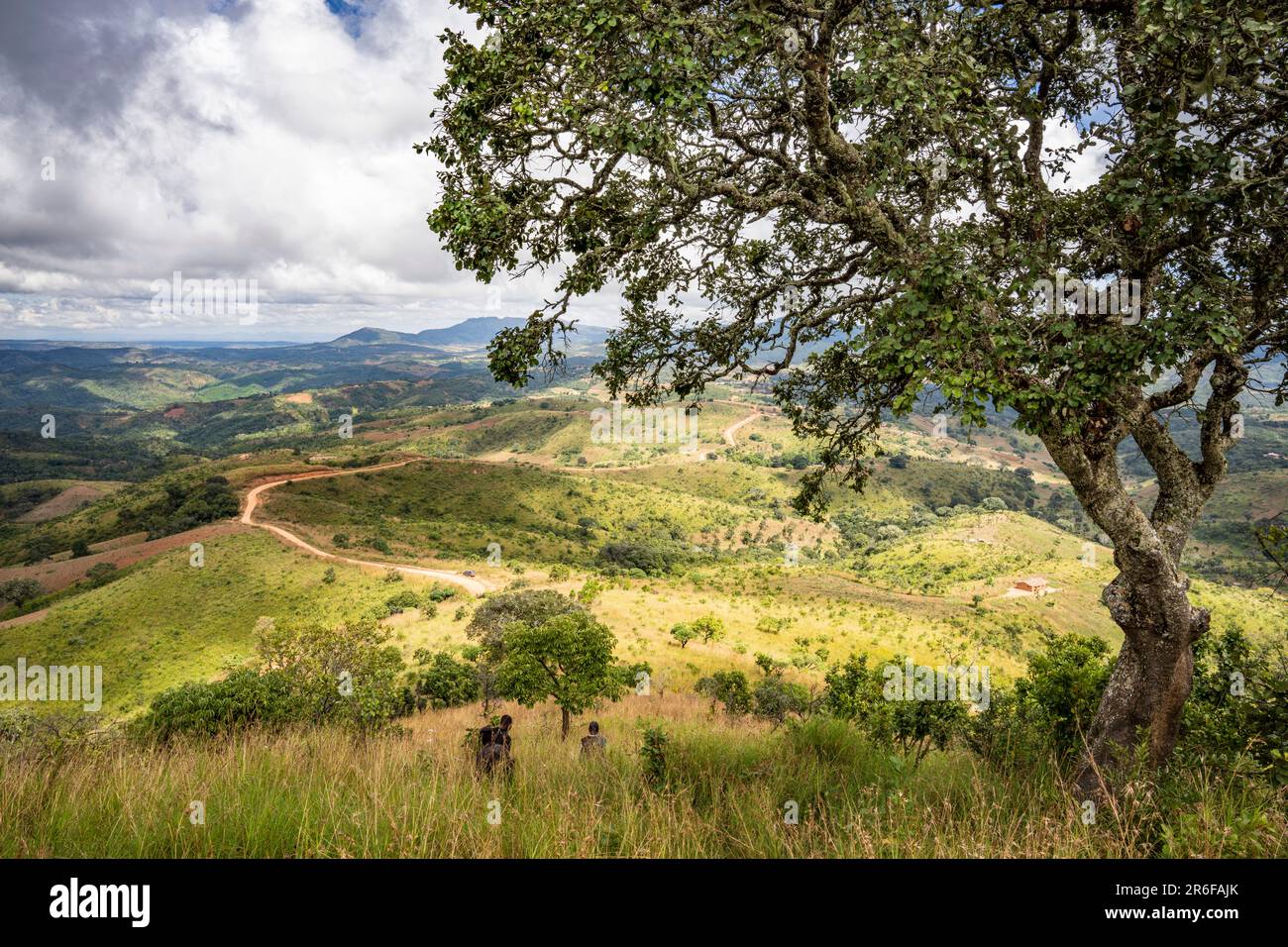 Ambiente intorno a Bula, Nkhata Bay District, nel nord del Malawi Foto Stock