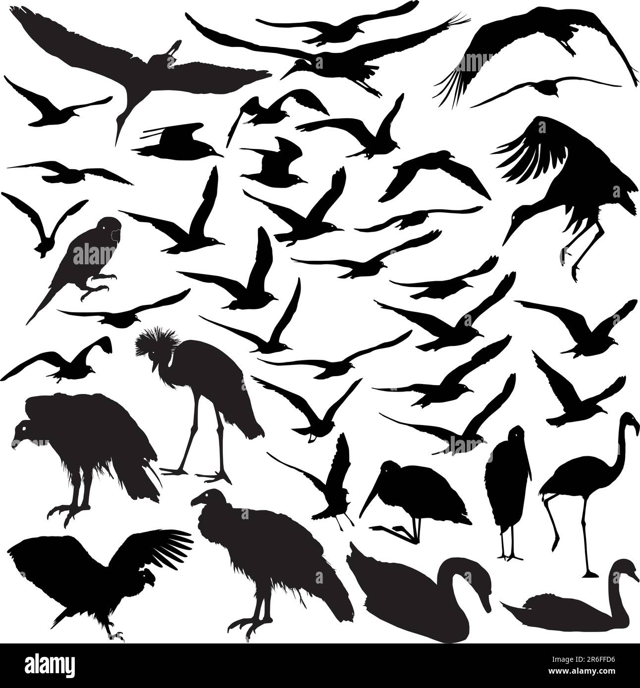 Set di vettore sagome di uccelli in volo Illustrazione Vettoriale