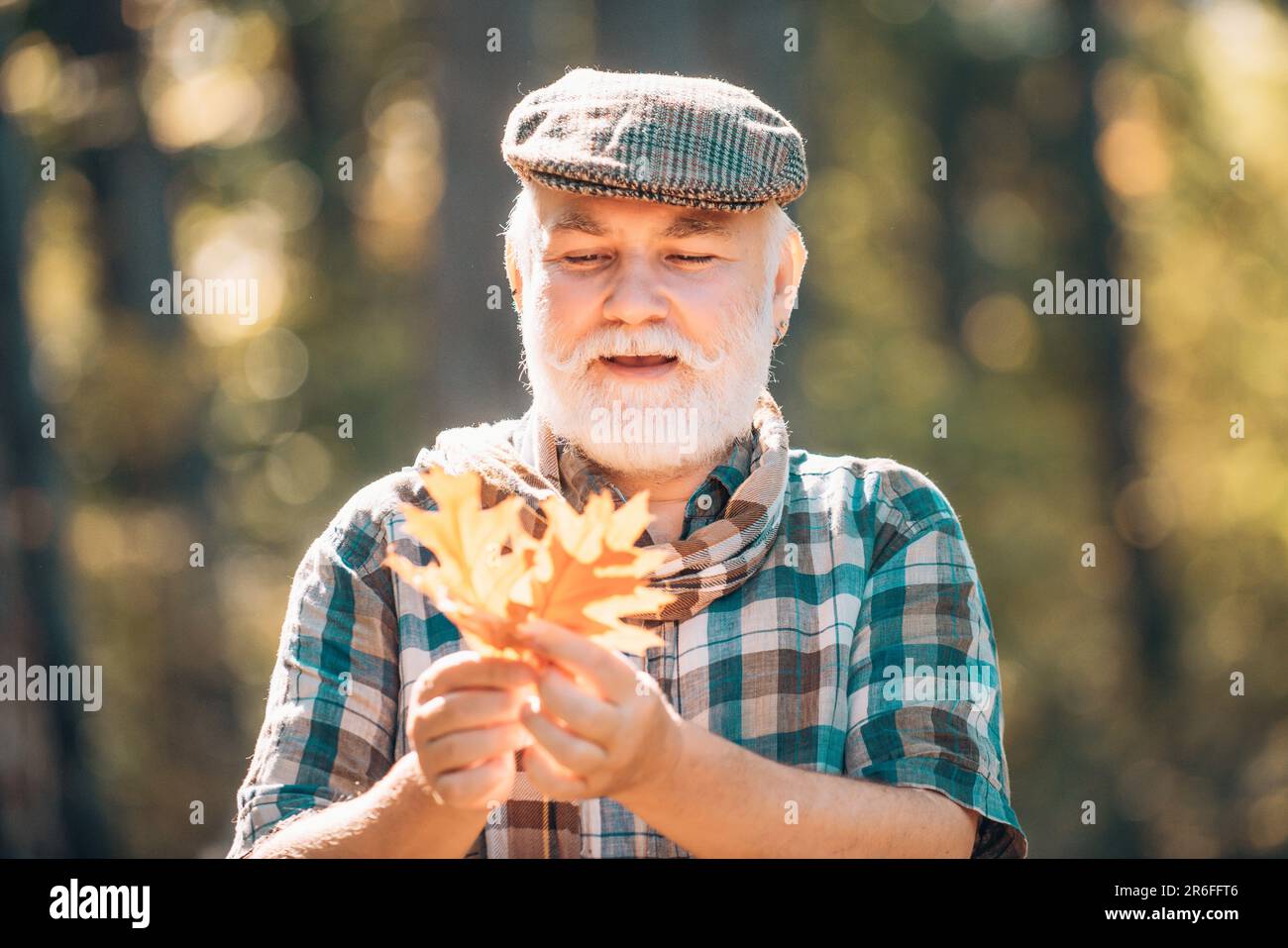 Felice uomo anziano trekking in autunno nella natura. Uomo anziano che cammina nel parco in autunno Foto Stock