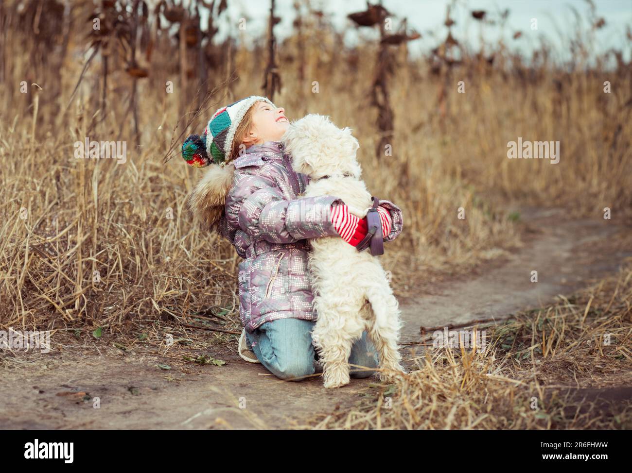 Piccola ragazza carina con il suo cane razza Terrier bianco a piedi in un campo Foto Stock