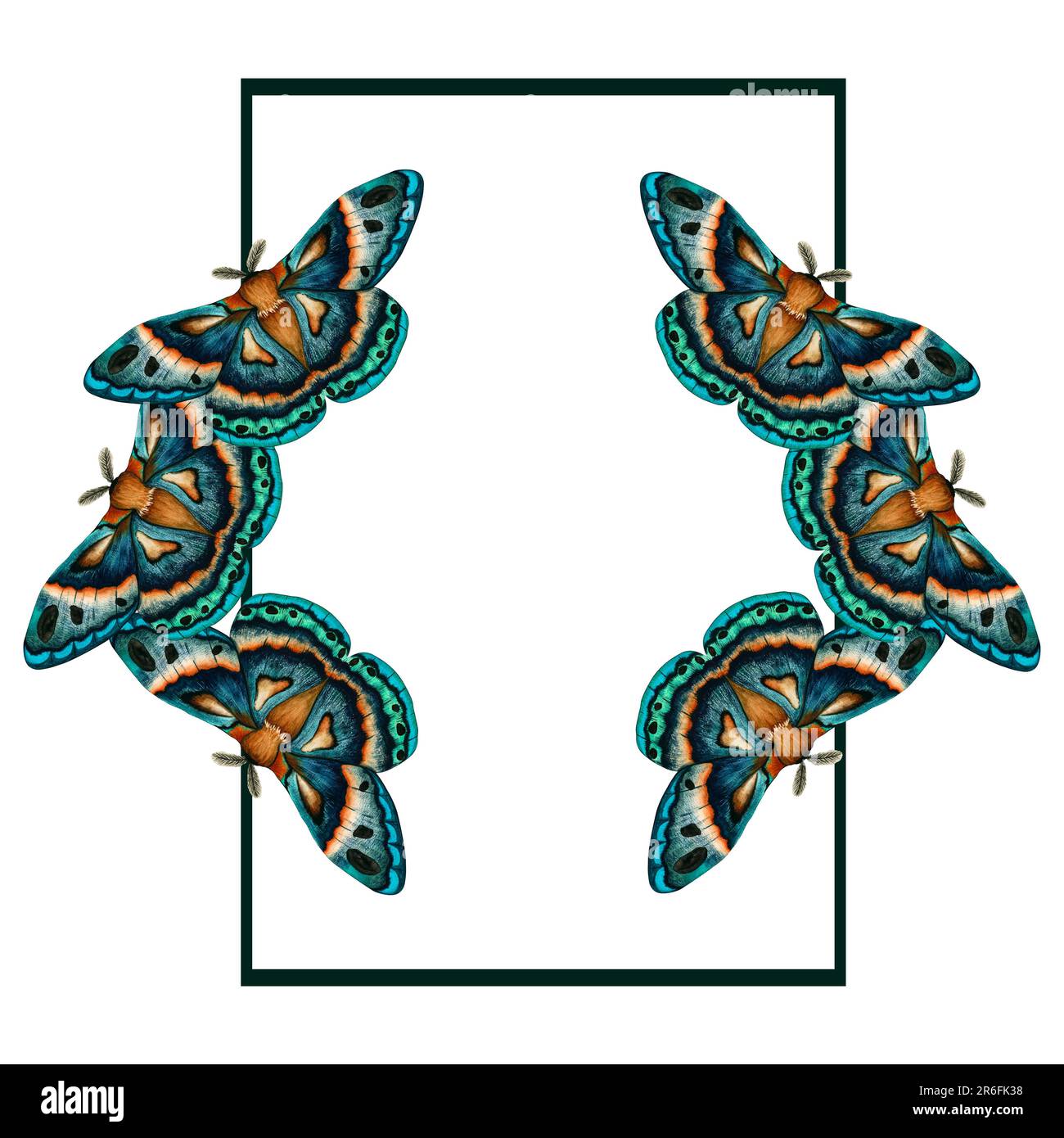 Cornice con acquerello blu verde chiaro isolato su sfondo bianco. Clip art mano dipinta farfalla imperiale notte. Insetto per il disegno Foto Stock