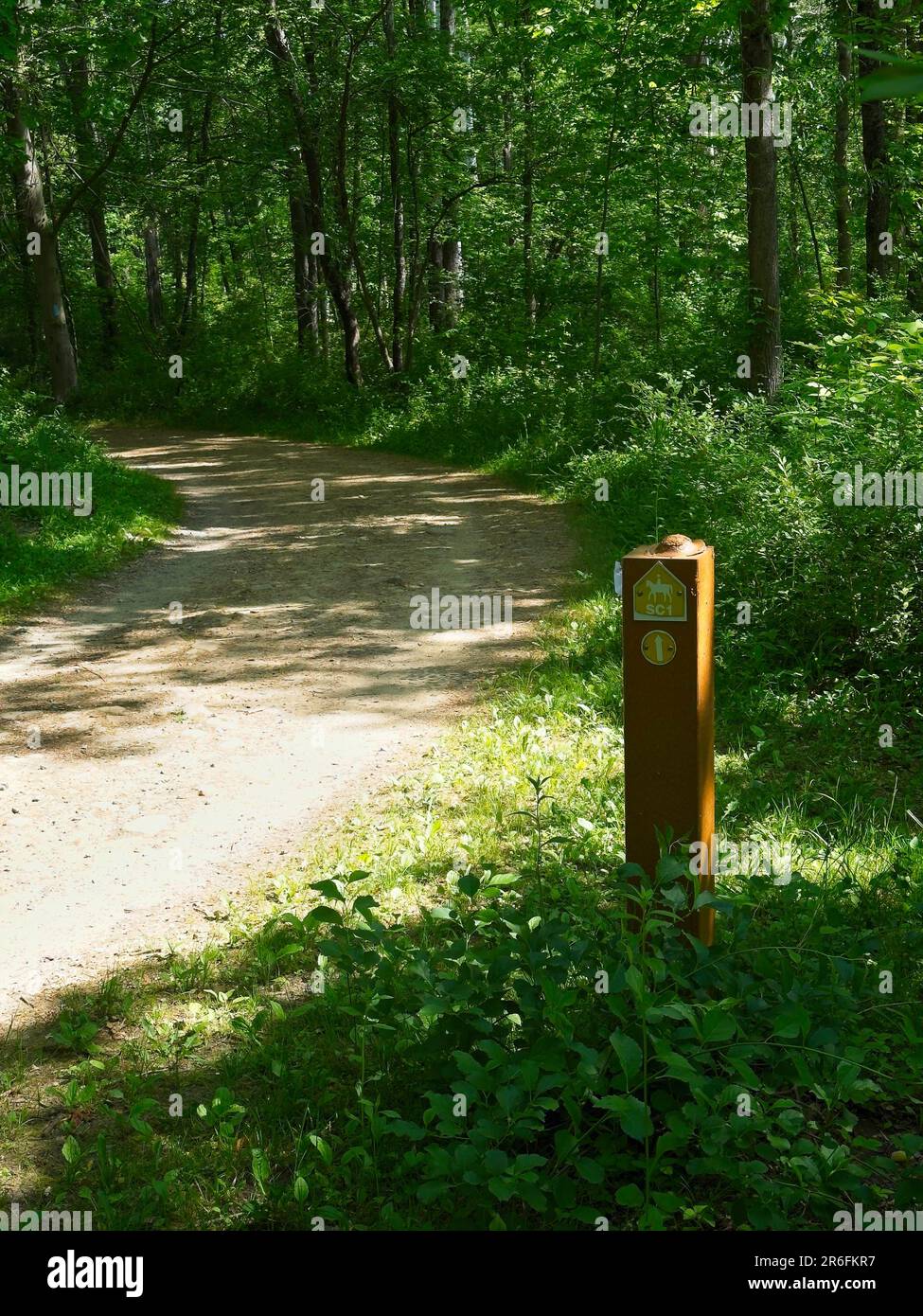 I pali laterali del sentiero segnano un percorso per le briglia in un'area boscosa vicino a Cleveland, Ohio Foto Stock