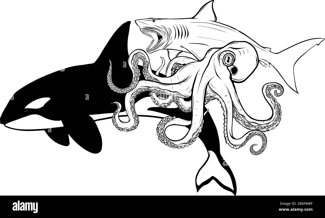 Illustrazione vettoriale della collezione monocromatica di animali marini Illustrazione Vettoriale