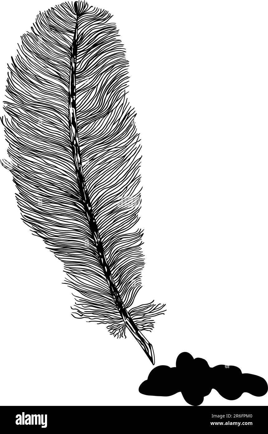 illustrazione di piume in bianco e nero con macchie di inchiostro Illustrazione Vettoriale