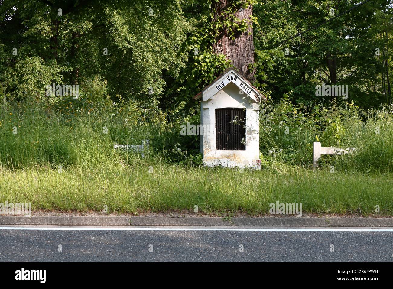 Una piccola cappella, dedicata alla Madonna di Halle, sotto un grande albero lungo una strada trafficata Foto Stock