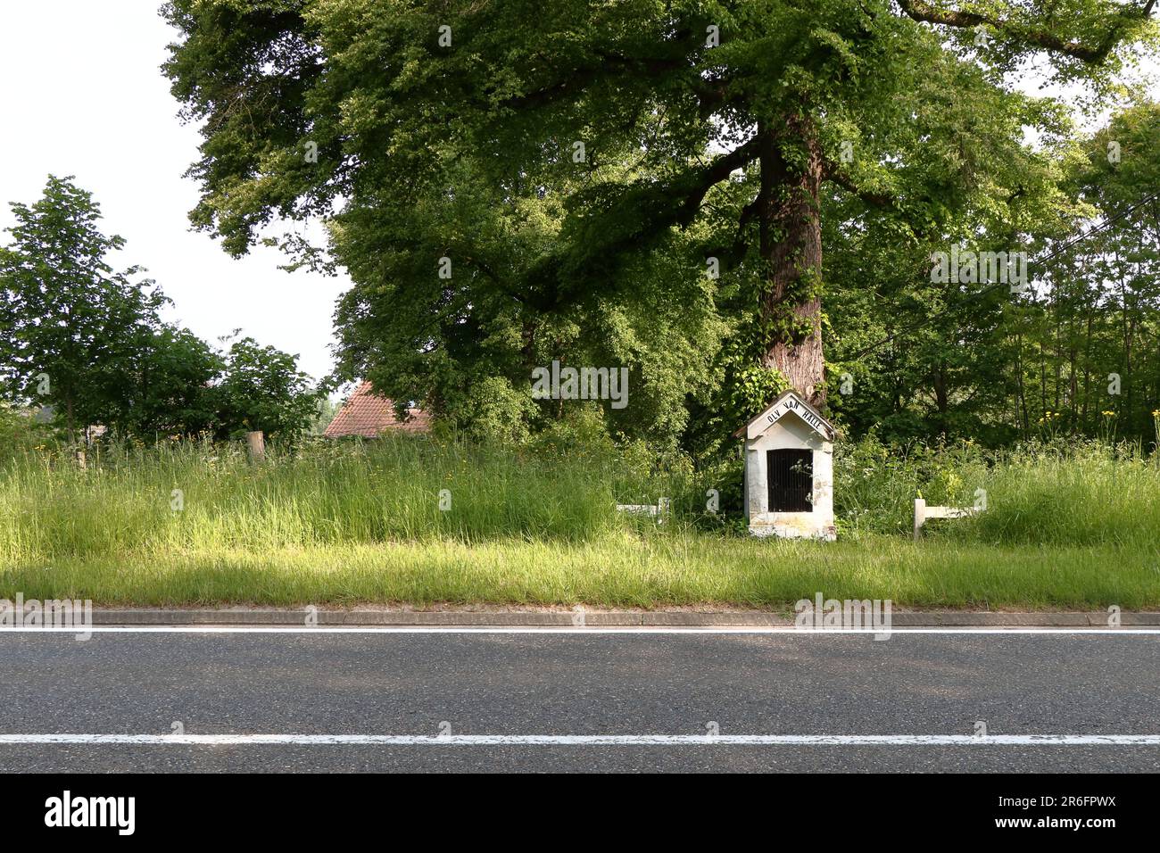 Una piccola cappella, dedicata alla Madonna di Halle, sotto un grande albero lungo una strada trafficata Foto Stock