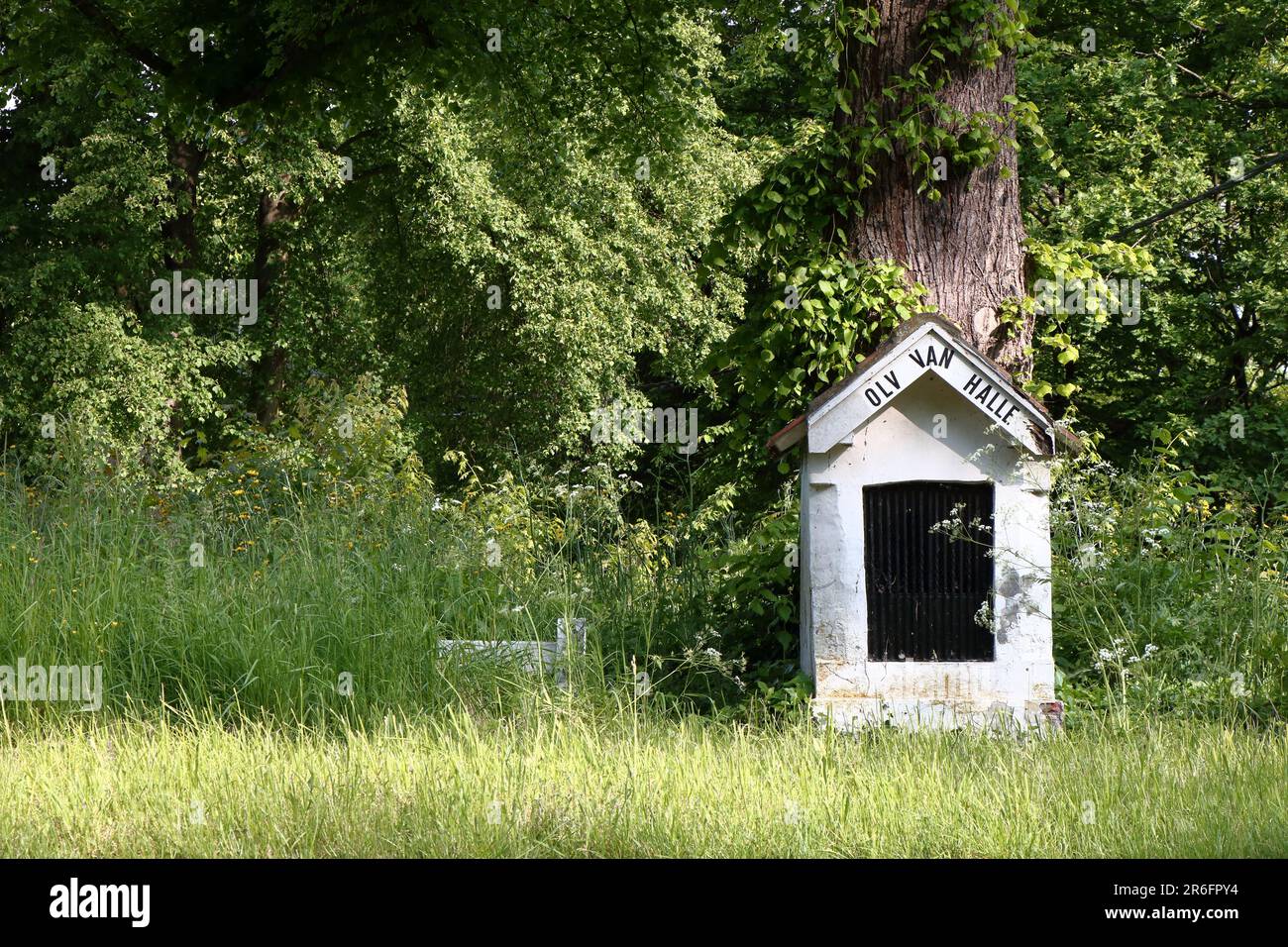 Una piccola cappella, dedicata alla Madonna di Halle, sotto un grande albero lungo una strada trafficata Foto Stock