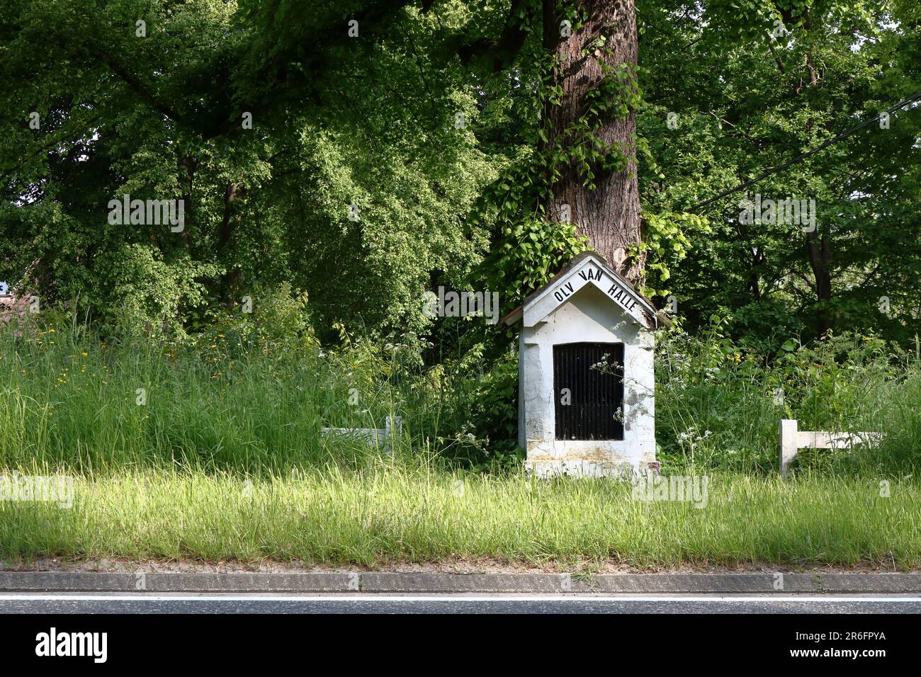 Una piccola cappella, dedicata alla Madonna di Halle, sotto un grande albero lungo una strada trafficata Foto Stock