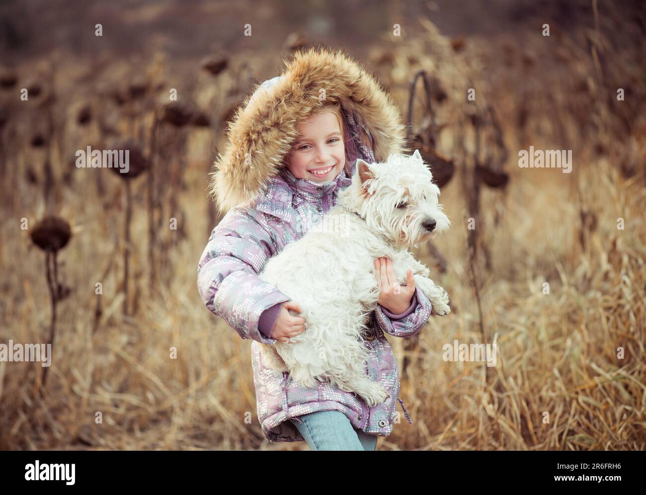 ragazza felice con il suo cane in un campo in autunno Foto Stock