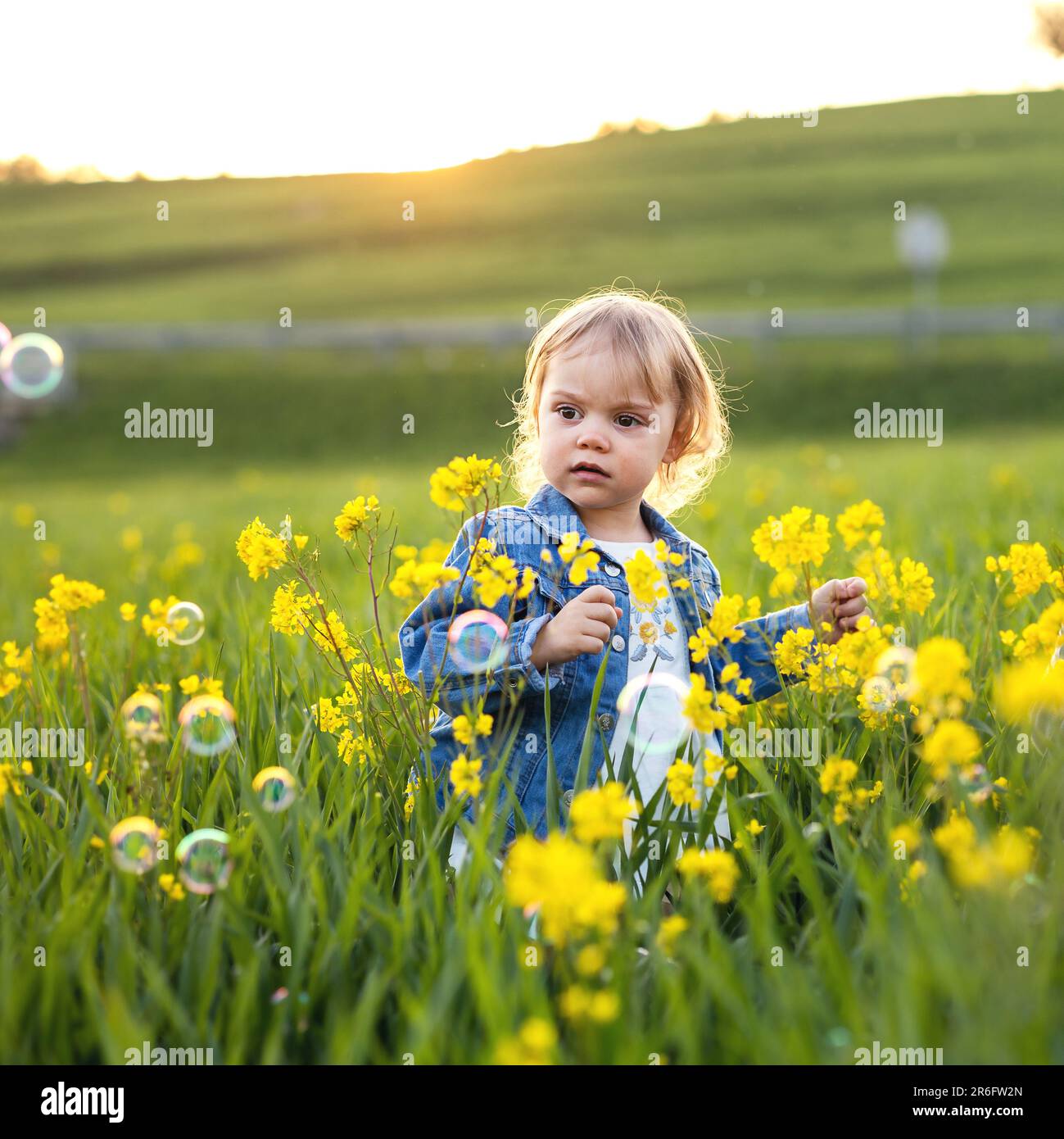 Rustico disteso giallo fiori spensierato gioco d'infanzia Foto Stock