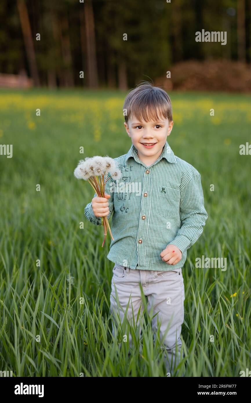 il bambino cammina nell'erba alta e porta sua madre un bouquet di un dente di leone Foto Stock