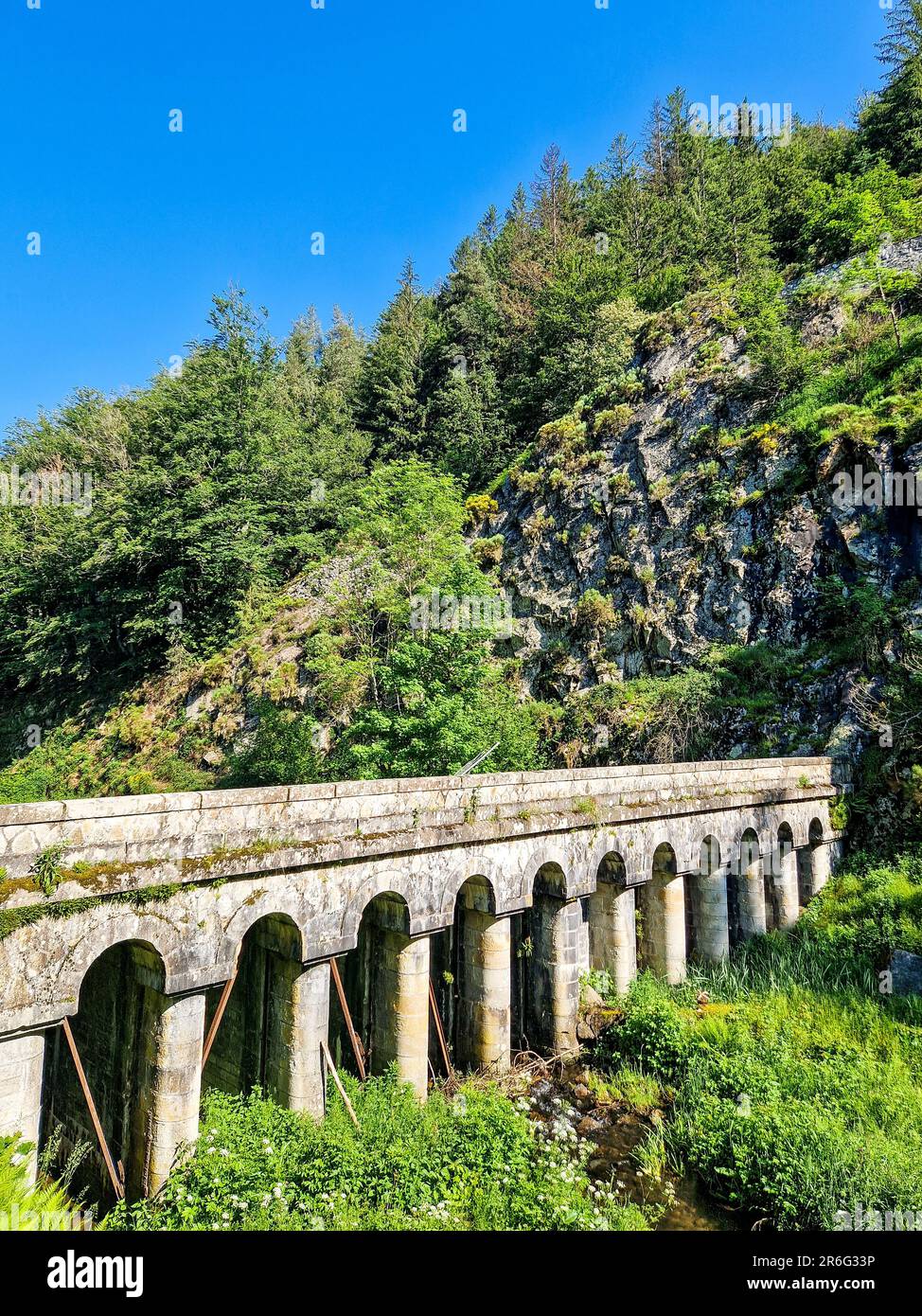 Valvole regolatrici Pas du Biot, Loira, Francia Foto Stock