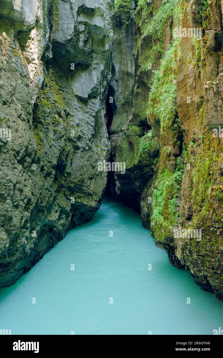 Aare Gorge in Svizzera. Si tratta di una pittoresca gola alpina con un fiume blu turchese chiaro che scorre attraverso di essa. Foto Stock