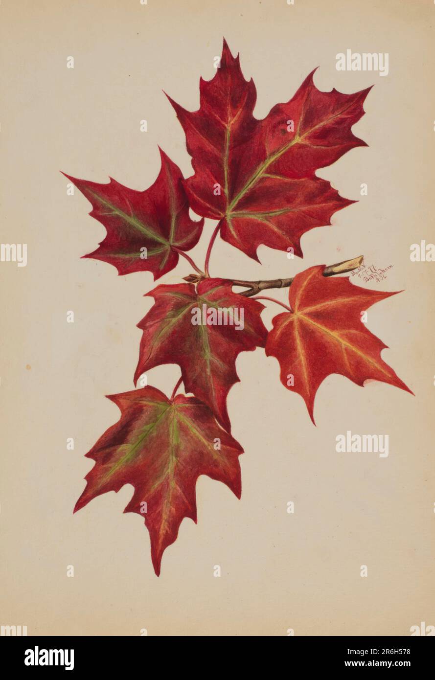 Senza titolo (foglie autunnali). Data: 1877. Acquerello su carta. Museo: Smithsonian American Art Museum. Foto Stock