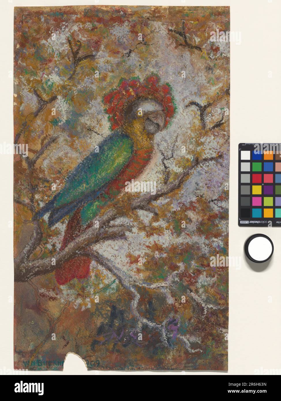 Pappagallo. Data: 1909. Vernice ad olio e pastello ad olio su carta. Museo: Museo della Comunità di Anacostia. Foto Stock