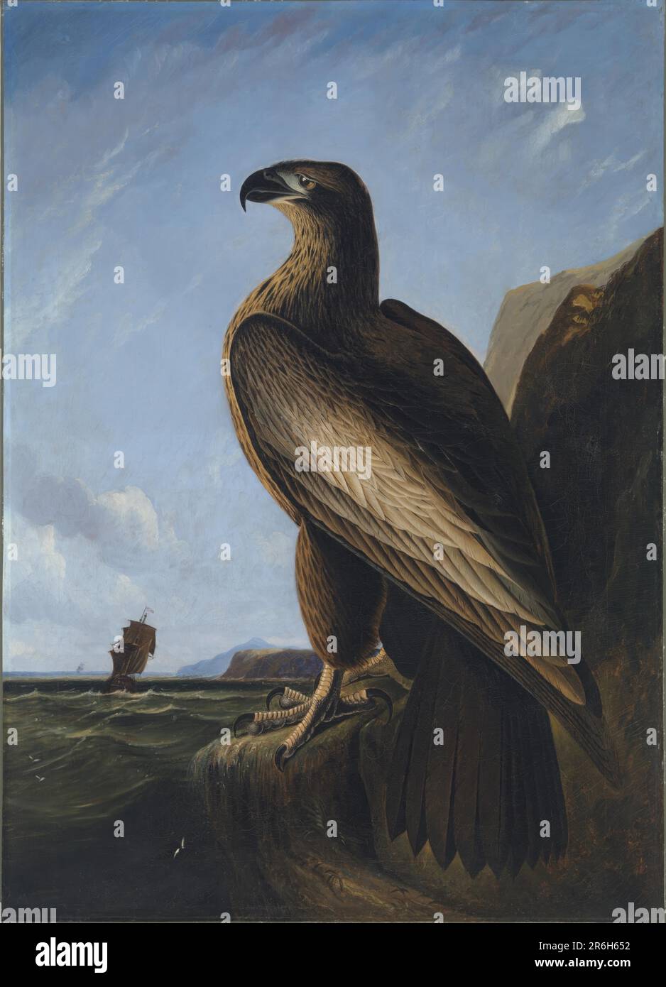 Washington Sea Eagle. olio su tela. Data: CA. 1836-1839. Museo: Smithsonian American Art Museum. Foto Stock