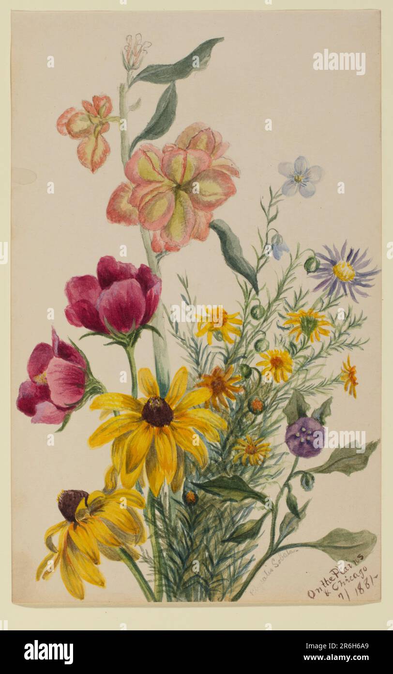 Gruppo di fiori. Data: 1881. Acquerello su carta. Museo: Smithsonian American Art Museum. Foto Stock