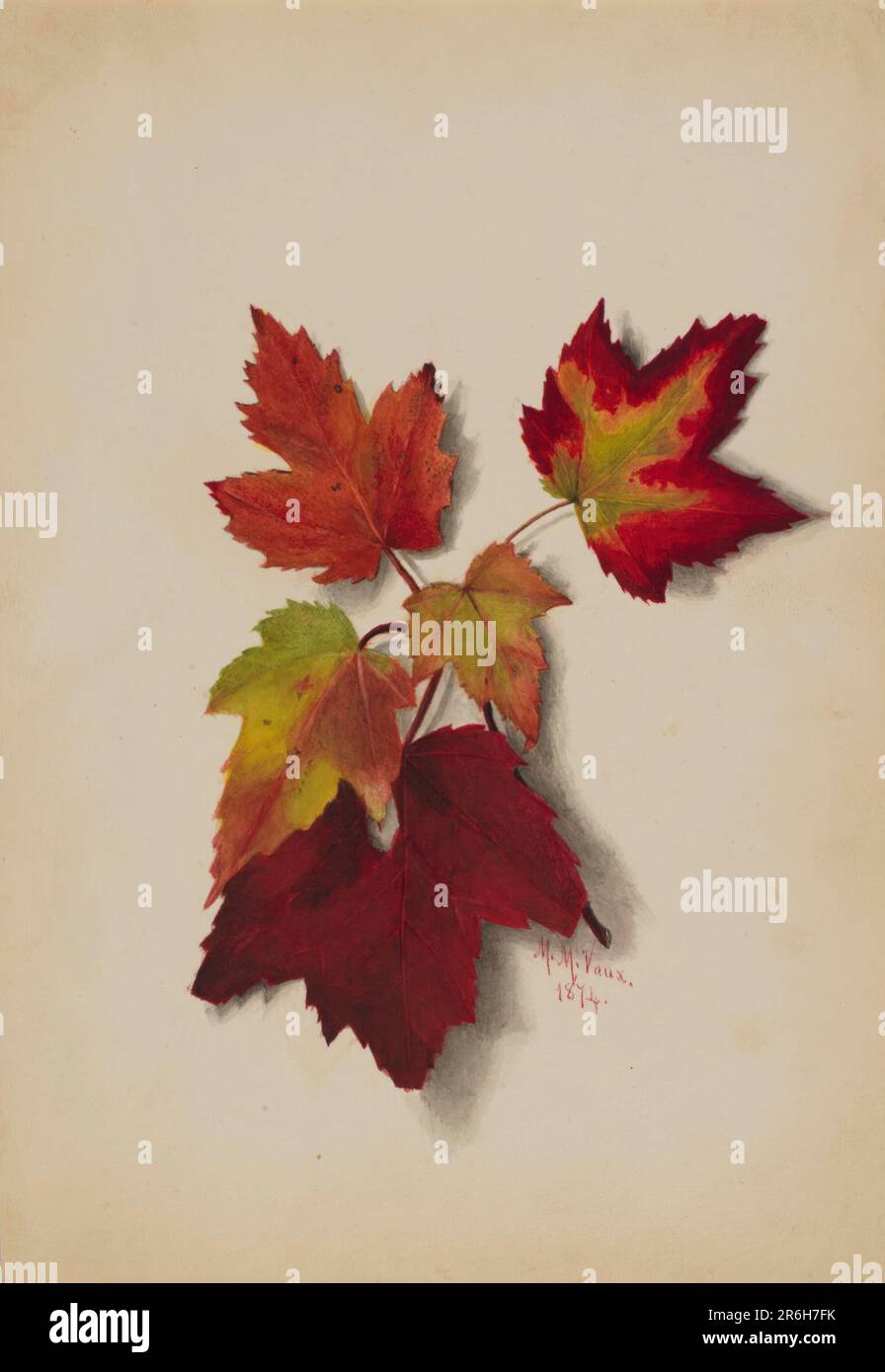 Senza titolo (foglie autunnali). Data: 1874. Acquerello su carta. Museo: Smithsonian American Art Museum. Foto Stock