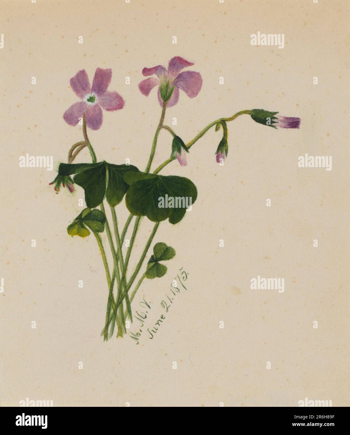 (Senza titolo). Data: 1875. Acquerello su carta. Museo: Smithsonian American Art Museum. Foto Stock