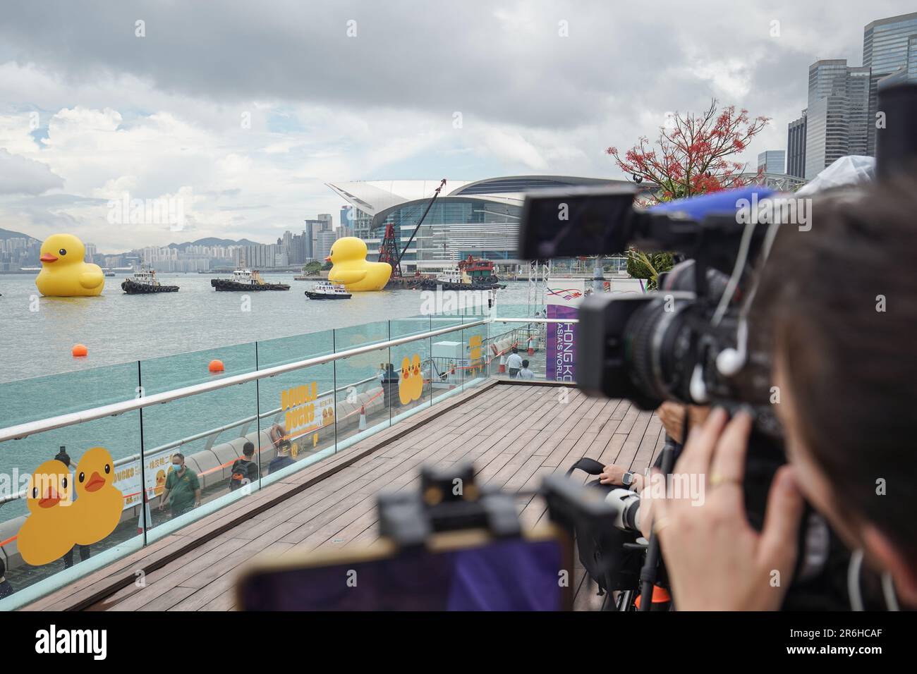 Hong Kong, Hong Kong. 09th giugno, 2023. I giornalisti scattano foto e video di due enormi anatre gonfiabili di fronte a Victoria Harbor. A partire dal 10th giugno 2023, l'attesissima mostra d'arte chiamata "Double Ducks", creata dall'artista olandese Florentijn Hofman, apre ufficialmente al pubblico al Victoria Harbor di Hong Kong. La mostra presenta due enormi anatre gonfiabili. E questo segna la seconda visita della gigantesca anatra gonfiabile a Hong Kong, con la prima che si è svolta un decennio fa. Credit: SOPA Images Limited/Alamy Live News Foto Stock