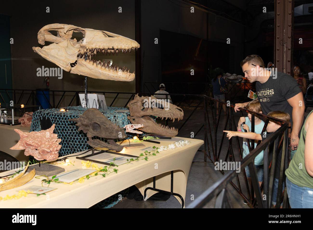 Dallas, Stati Uniti. 9th giugno, 2023. La gente guarda i fossili di dinosauro alla mostra Jurassic quest di Dallas, Texas, Stati Uniti, il 9 giugno 2023. Credit: Dan Tian/Xinhua/Alamy Live News Foto Stock
