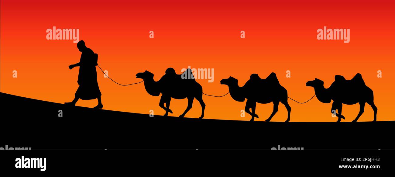 sagoma vettoriale dei cammelli Illustrazione Vettoriale