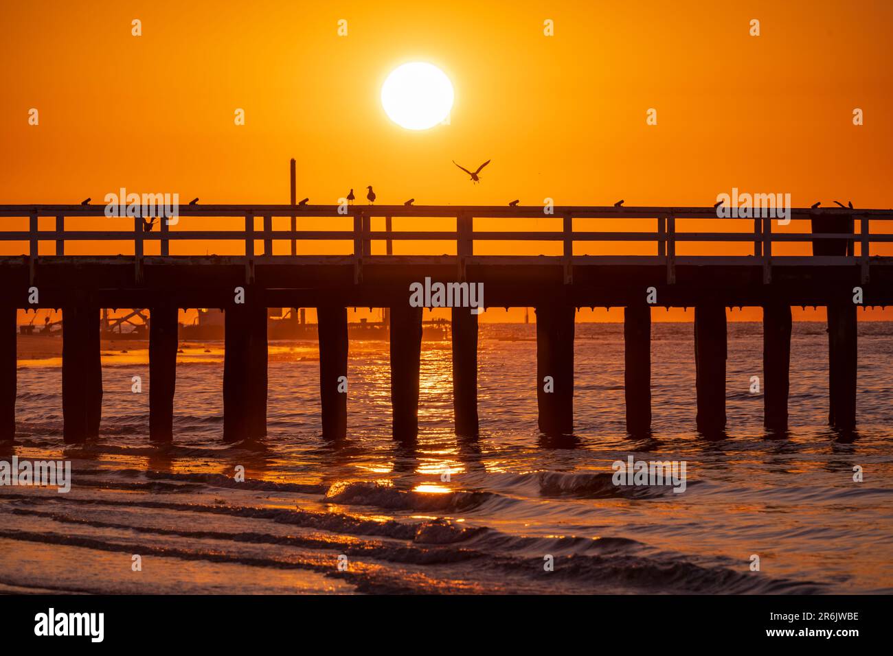 Spettacolare alba su un molo costiero a Queenscliff a Victoria, Australia Foto Stock