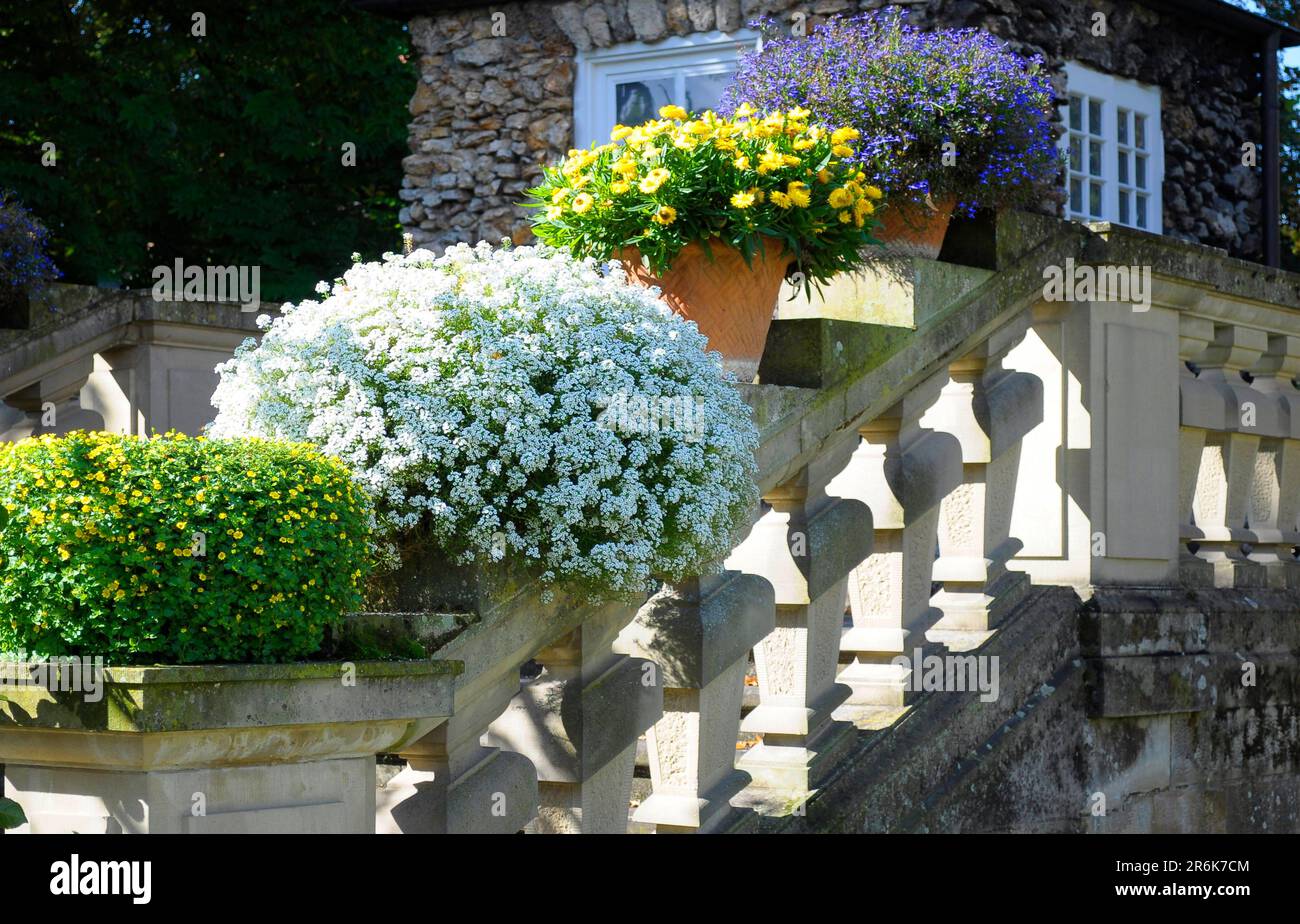 Bluehendes Barock Ludwigsburg, scala, con piante in vaso, giardino del palazzo Foto Stock