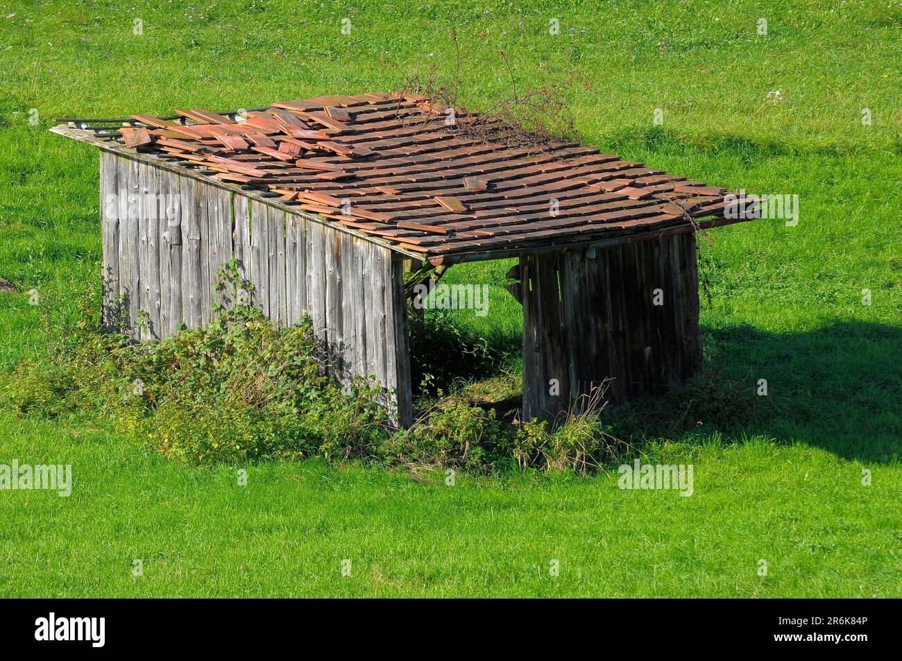 Attrezzo capannone in prato vicino Maulbronn Foto Stock