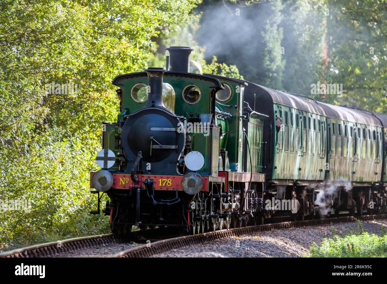 Festival del vapore alla ferrovia Bluebell 2010 Foto Stock