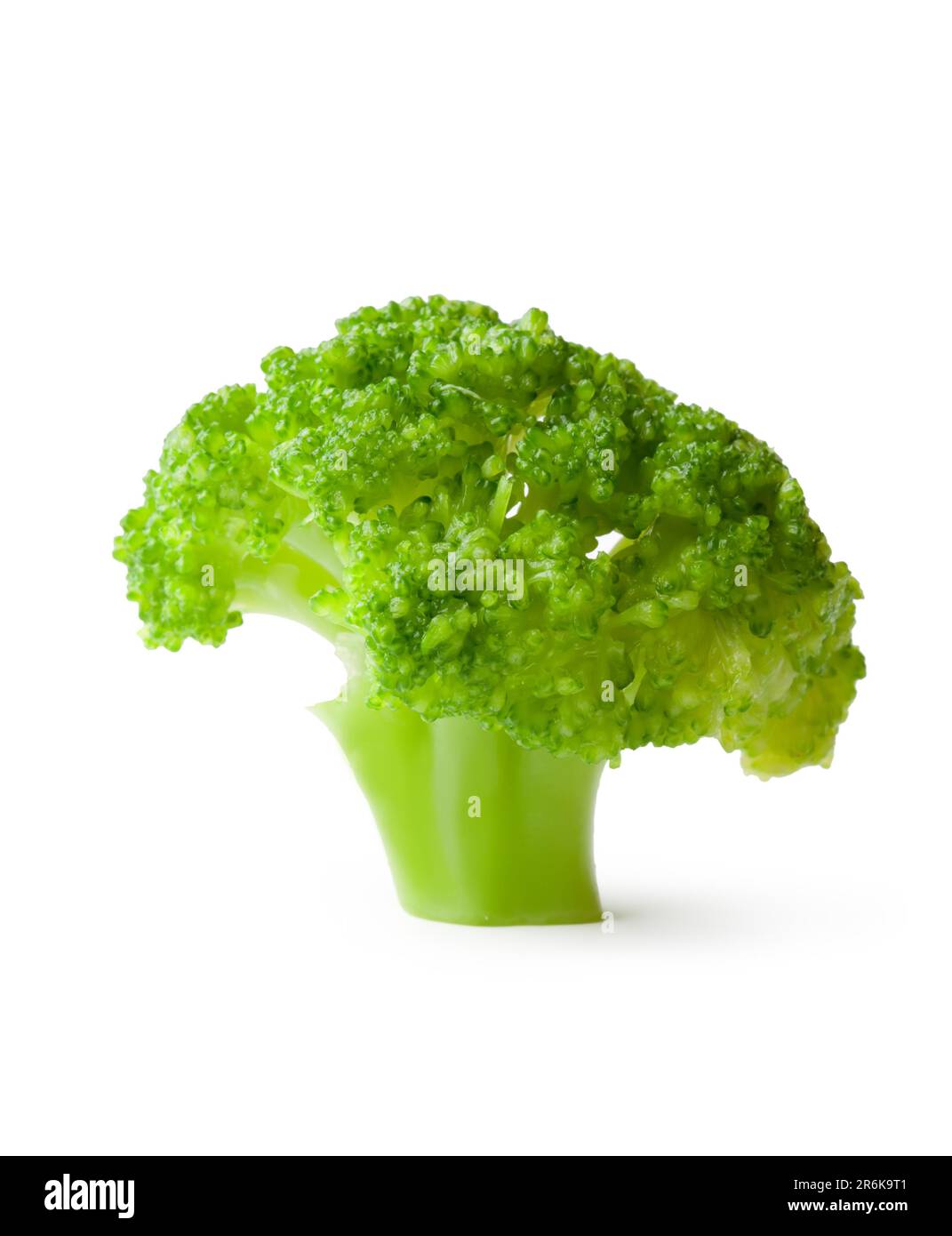 Broccoli isolato su bianco Foto Stock