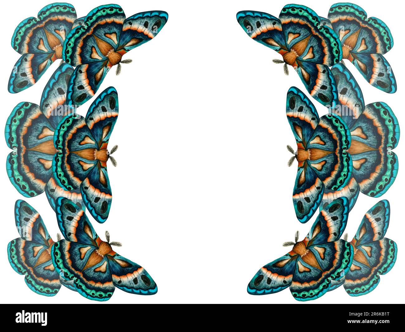 Cornice con acquerello blu verde chiaro isolato su sfondo bianco. Clip art mano dipinta farfalla imperiale notte. Insetto per il disegno Foto Stock