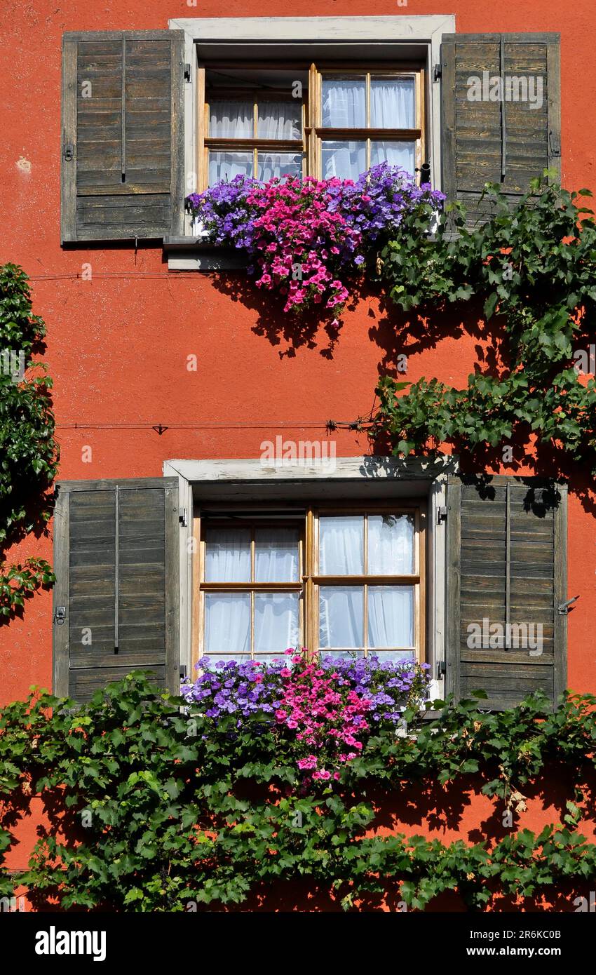 Casa e giardino cottage con perenni Foto Stock